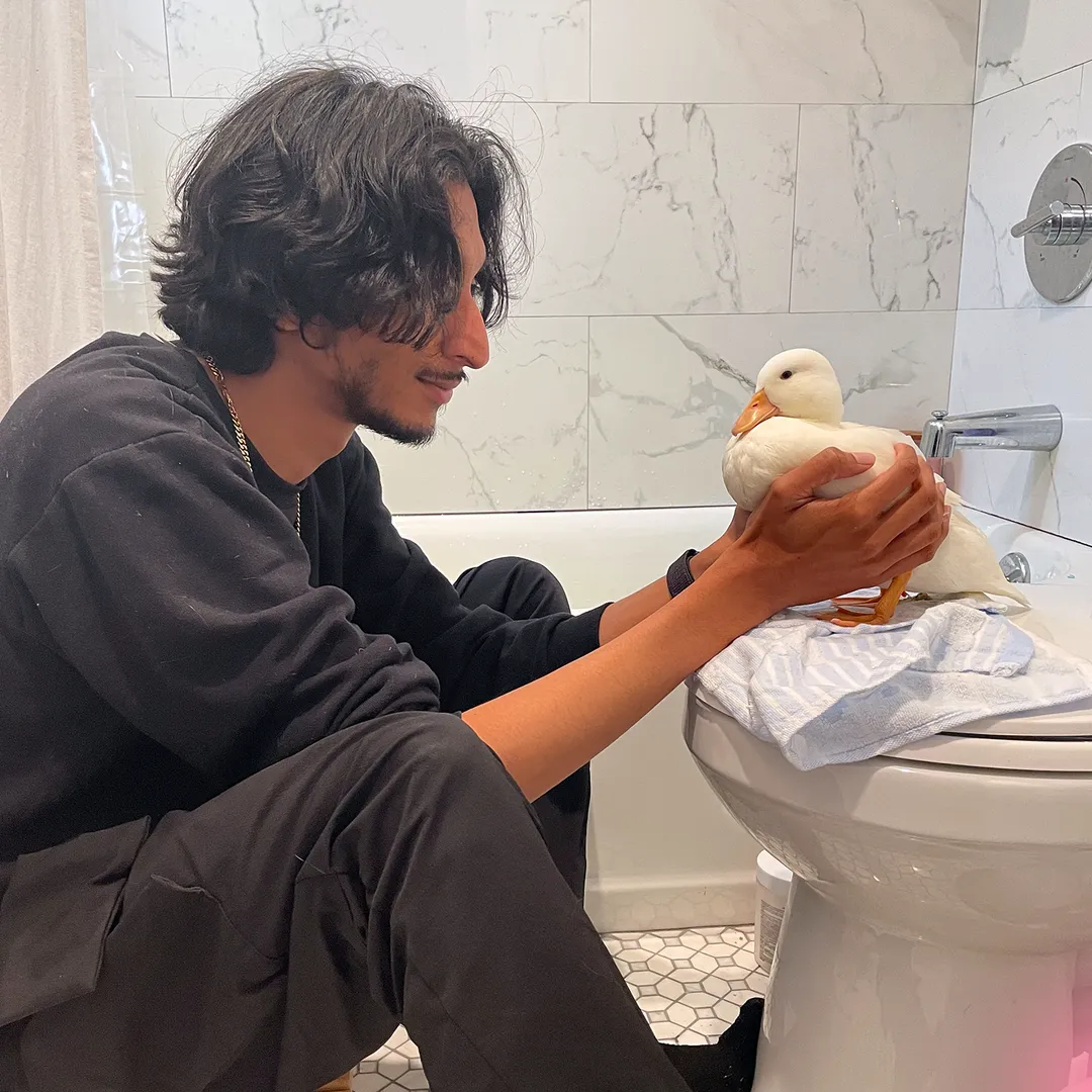 Random photo from gallery